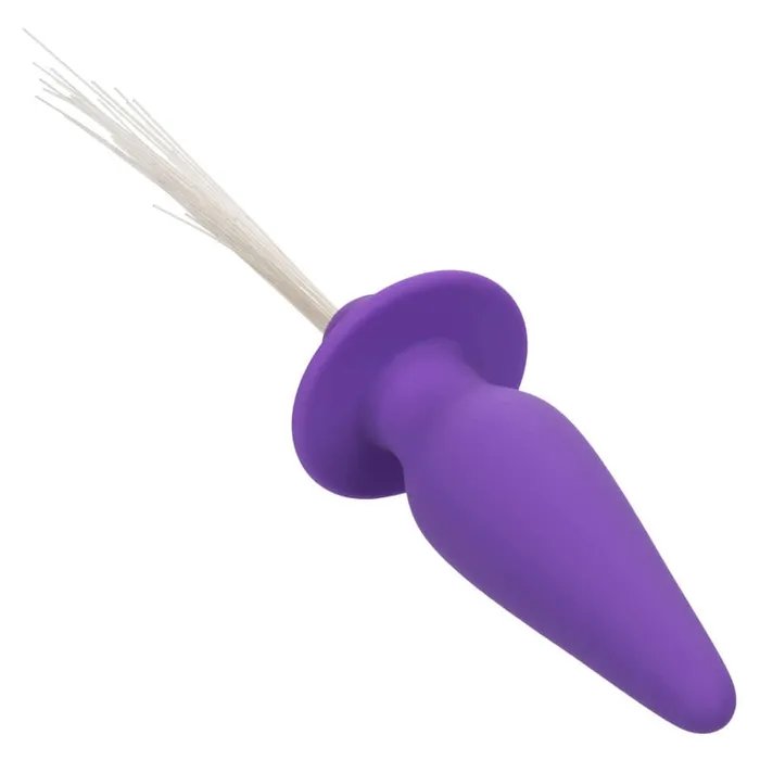 Anal CalExotics Southern Lights Vibrating Light Up Anal Probe Purple Anal CalExotics Southern Lights Vibrating Light Up Anal Probe Purple
